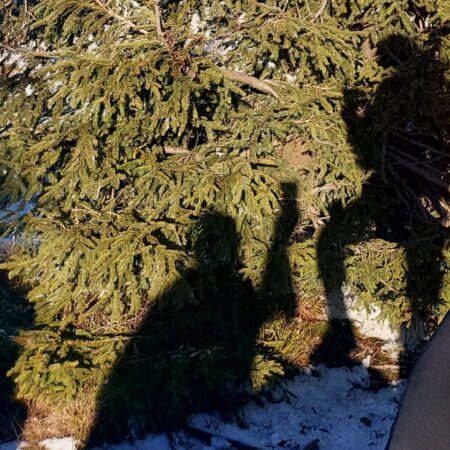 emocje w małżeństwie