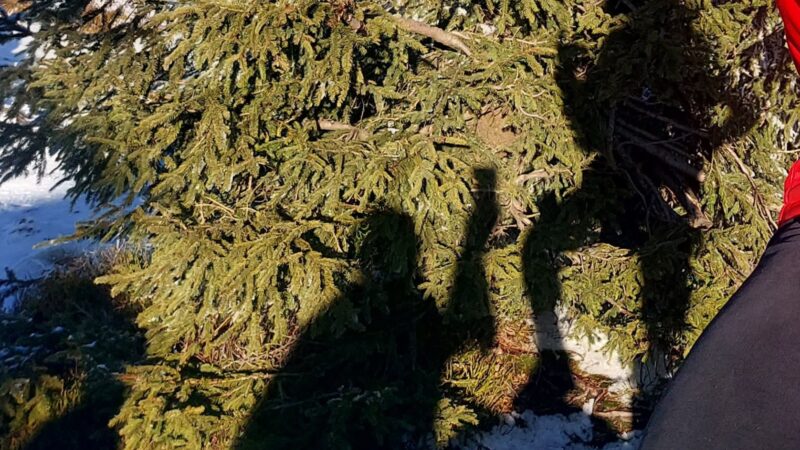 emocje w małżeństwie