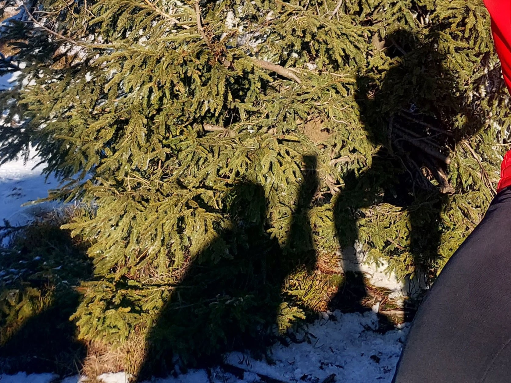 Emocje w&nbsp;małżeństwie: Ona czuje za&nbsp;dwoje, on&nbsp;dźwiga za&nbsp;trzech. Jak nie&nbsp;wpaść w&nbsp;pułapkę  ról?